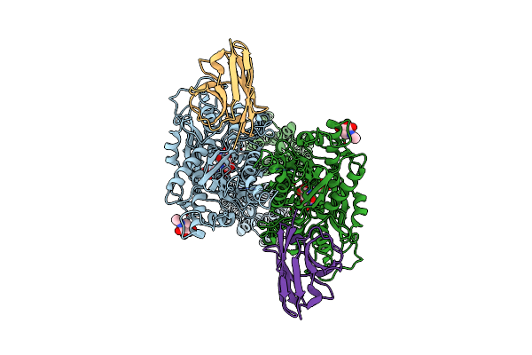 6N51 image