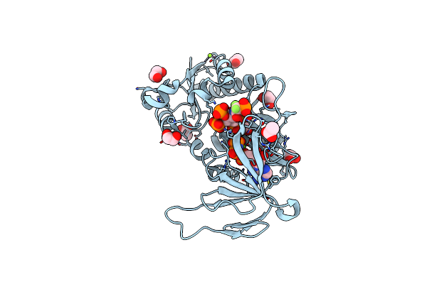 6N5C image