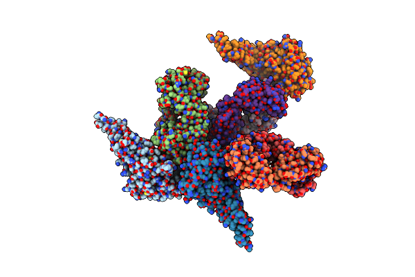 6N5D image