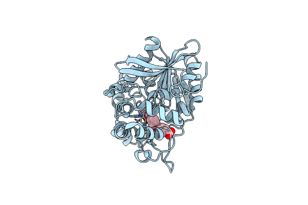6N5H image