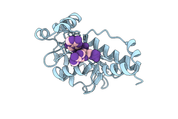 6N6C image