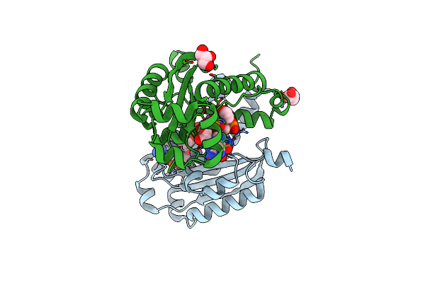 6N6I image