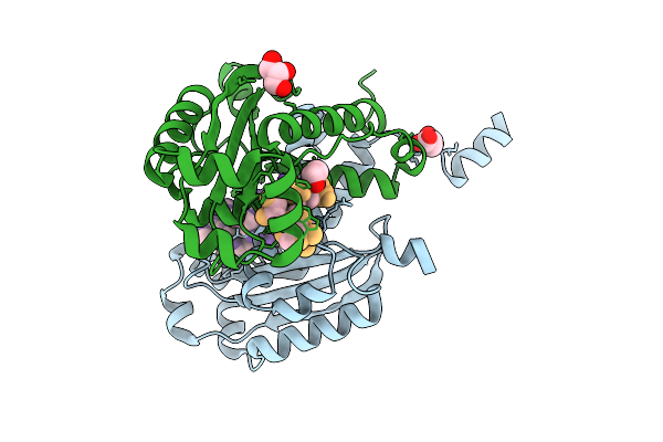 6N6J image