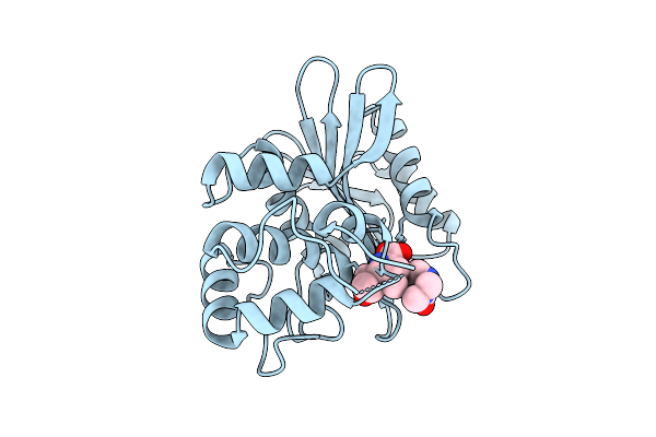 6N6V image