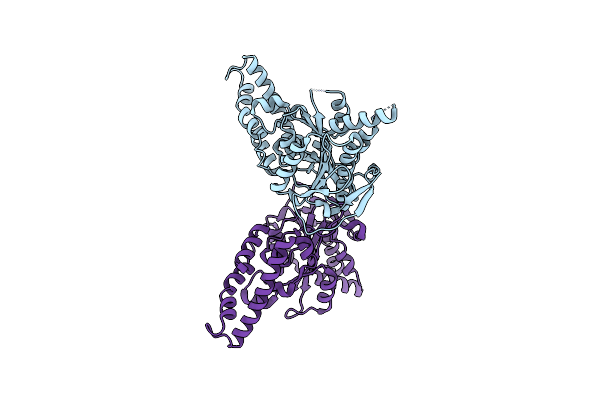 6N71 image