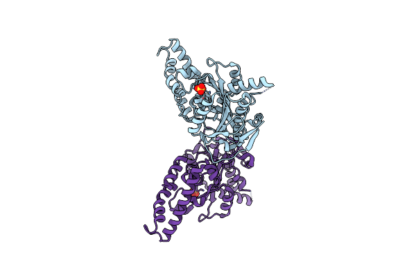 6N74 image