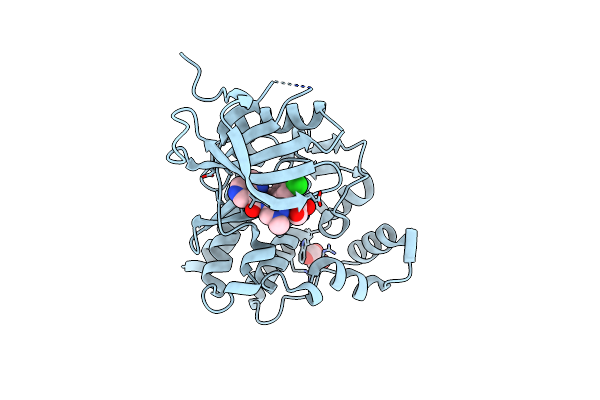 6N7B image