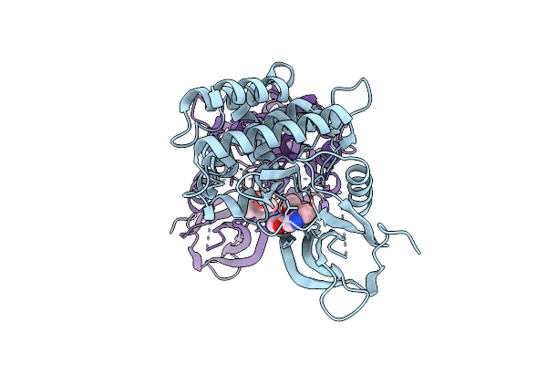 6N7C image