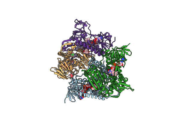 6N7F image