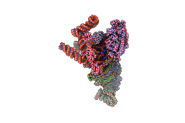 6N7P image