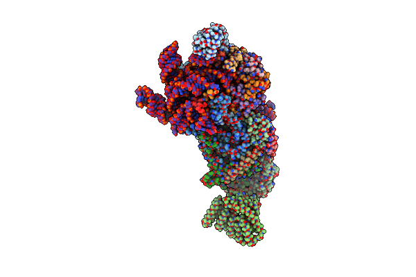 6N7X image