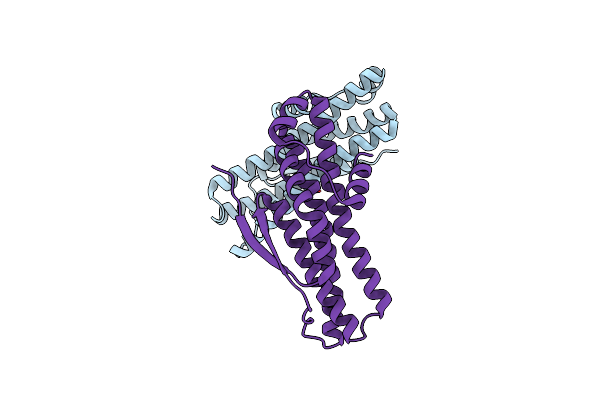 6N8B image
