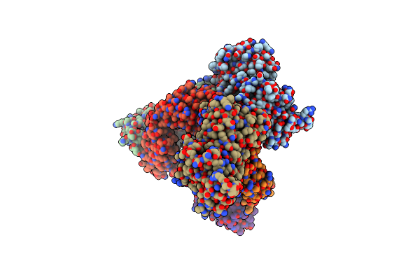 6N8D image