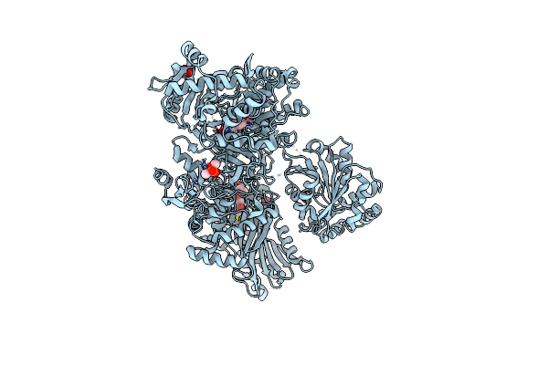 6N8E image