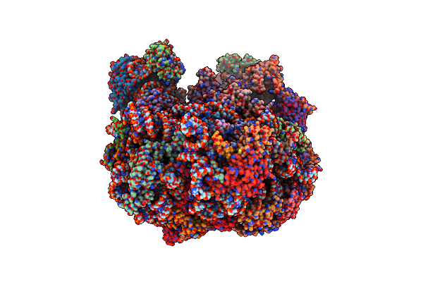 6N8J image
