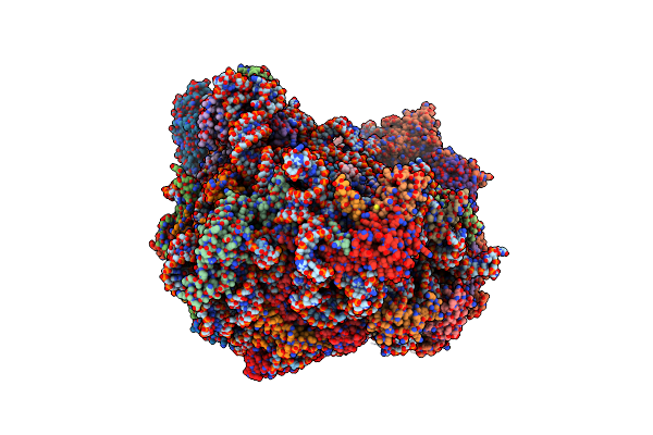 6N8K image