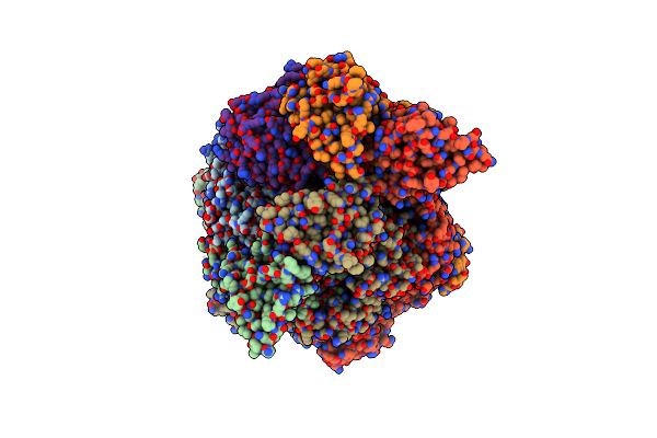 6N8Z image
