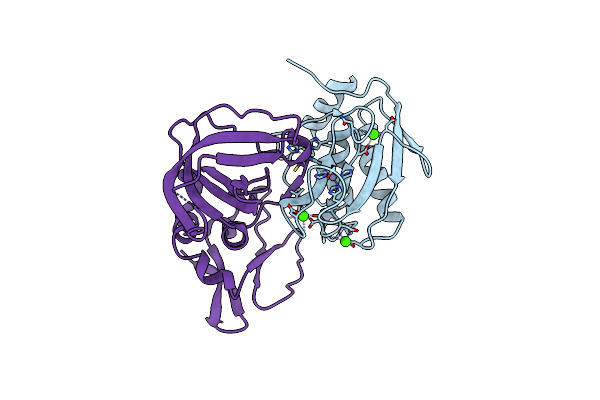 6N9D image