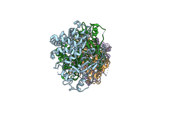 6N9O image