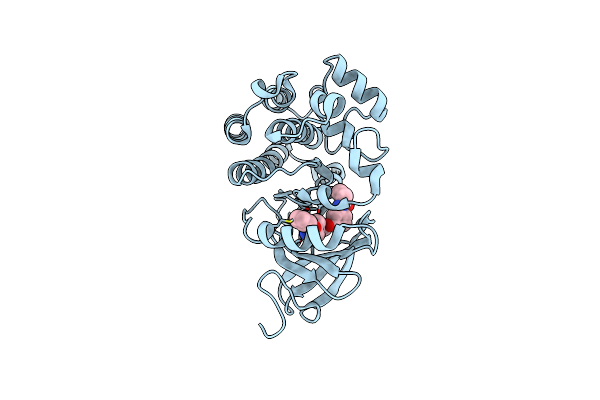 6N9P image
