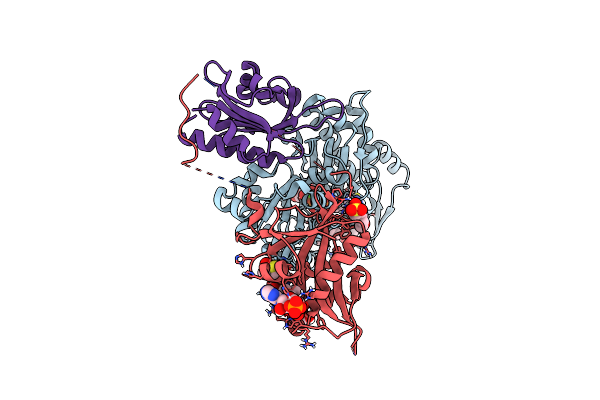 6NAS image