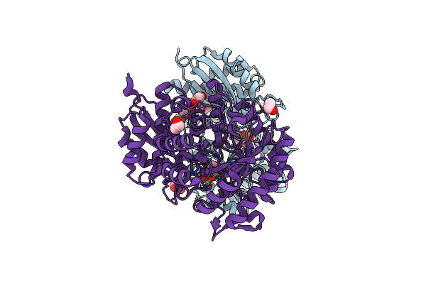 6NB2 image