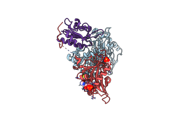 6NBE image