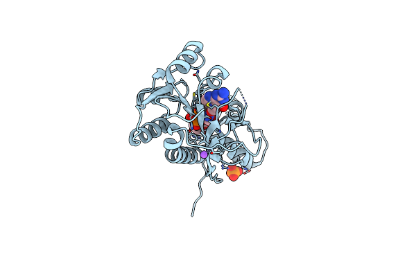 6NBP image