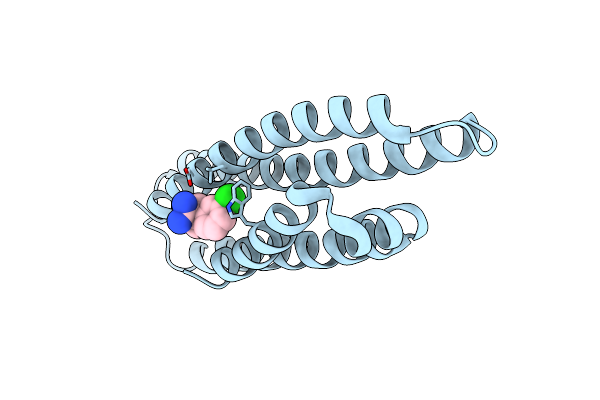 6NCN image