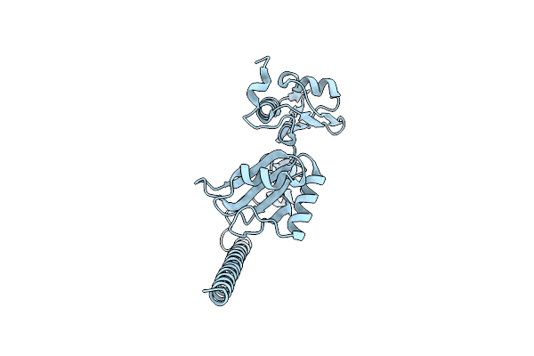 6NCQ image