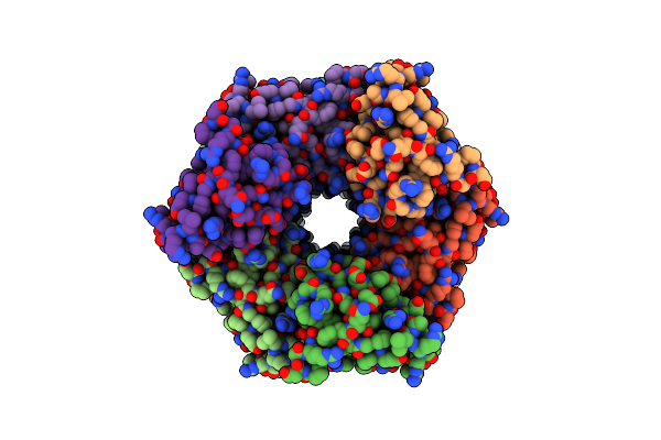 6NCV image