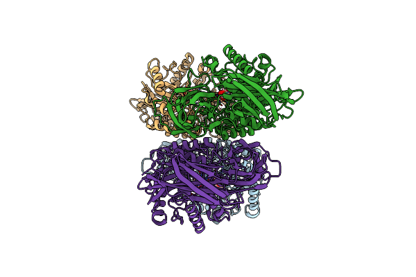 6NCX image
