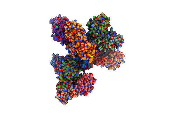 6NDH image