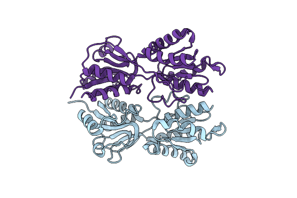 6NDI image