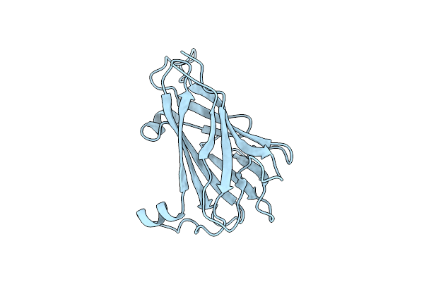 6NDT image