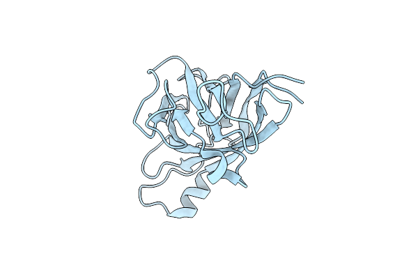 6NDV image