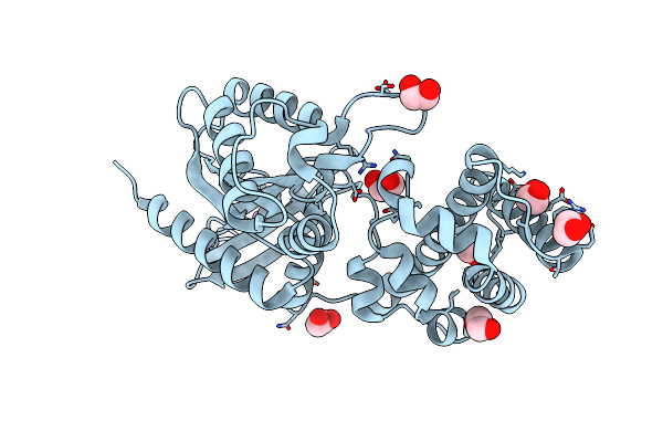 6NE6 image