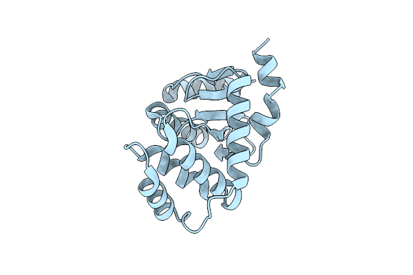6NEN image