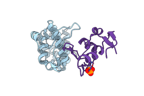 6NEP image