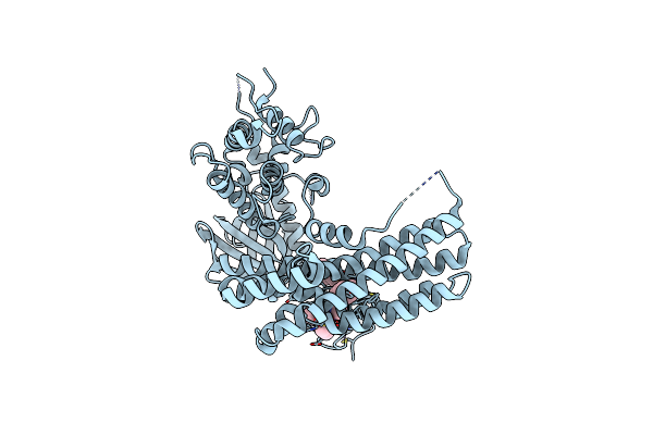 6NF1 image