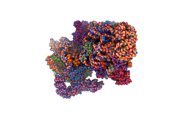 6NF8 image