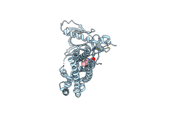 6NFA image