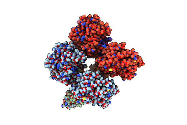 6NFJ image