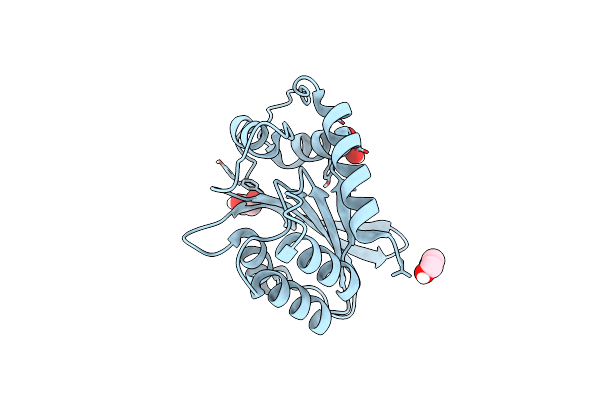 6NFK image