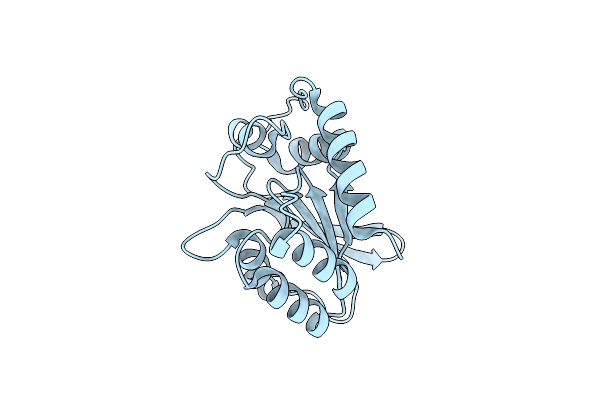 6NFM image