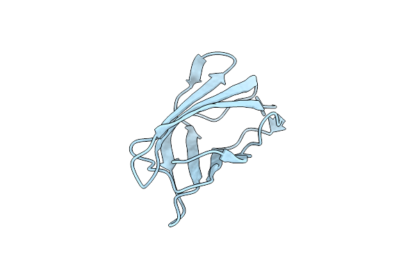 6NFS image