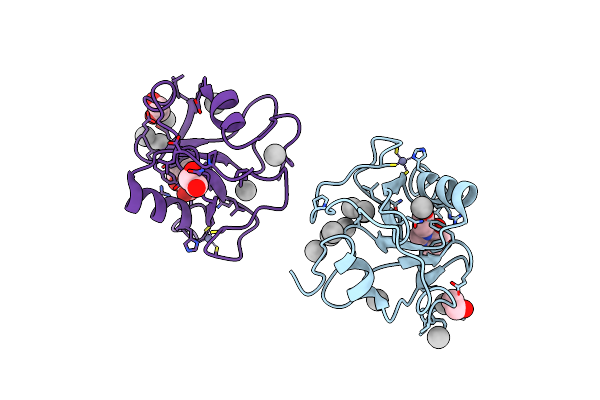 6NFT image
