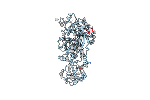 6NFX image