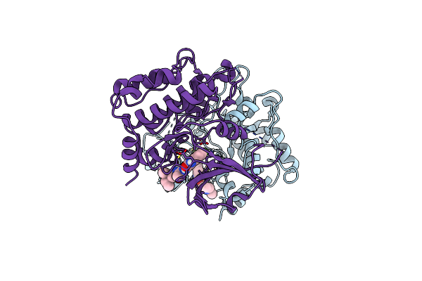 6NFZ image