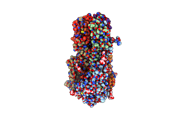 6NHP image
